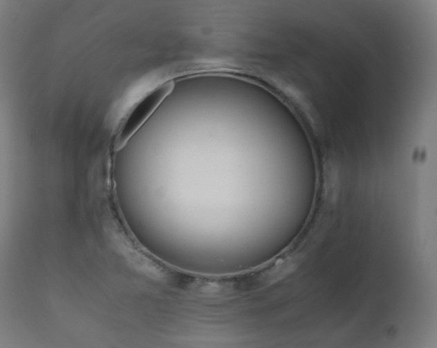 X0000111031365200906251255