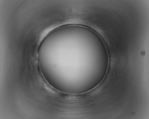 X0000111031366200906251255