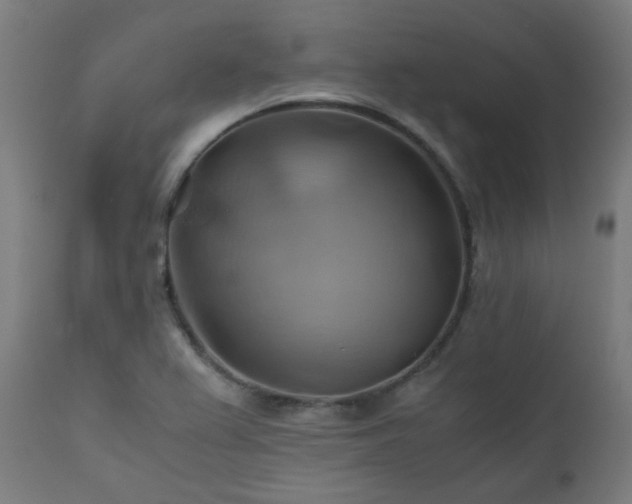X0000111031367200906251255