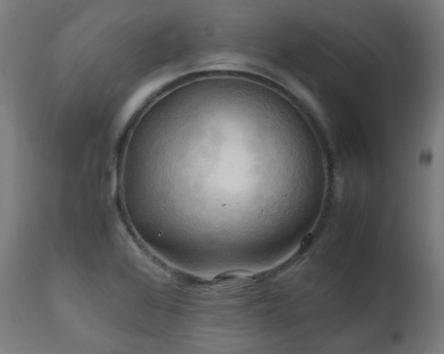 X0000111031368200906251255