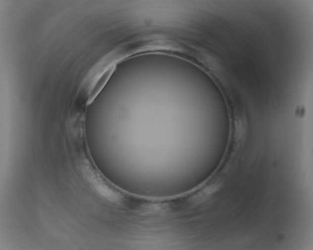 X0000111031369200906251255