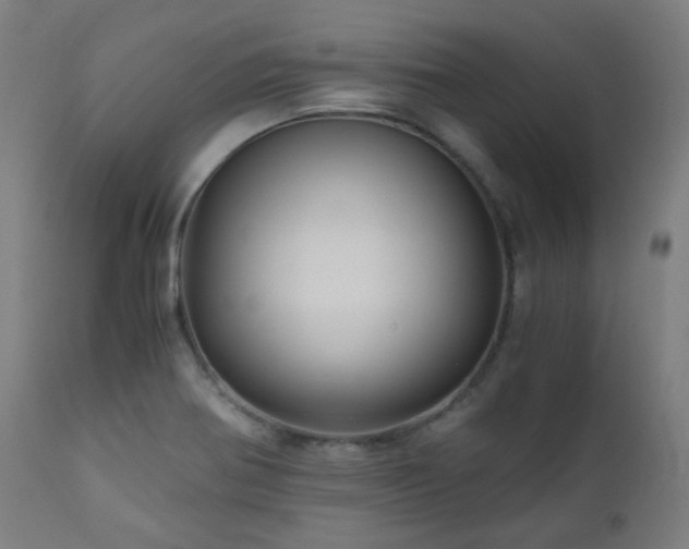 X0000111031370200906251255