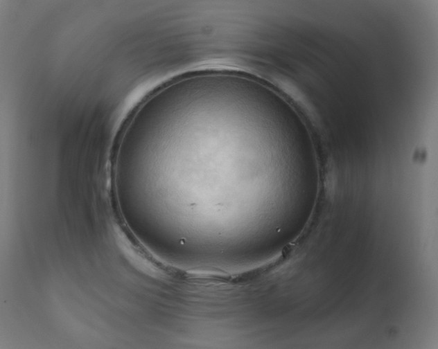 X0000111031372200906251255