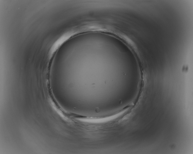 X0000111031373200906251255