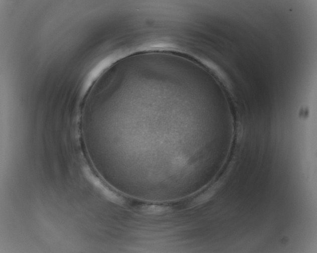 X0000111031374200906251255