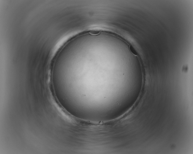 X0000111031376200906251255