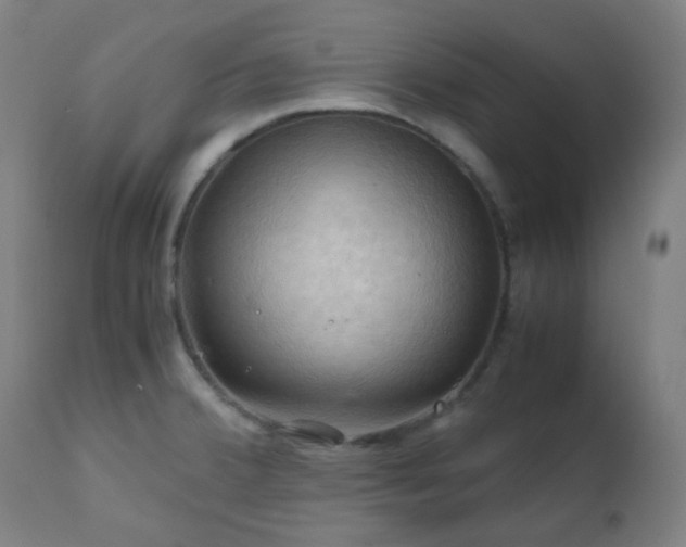 X0000111031380200906251255