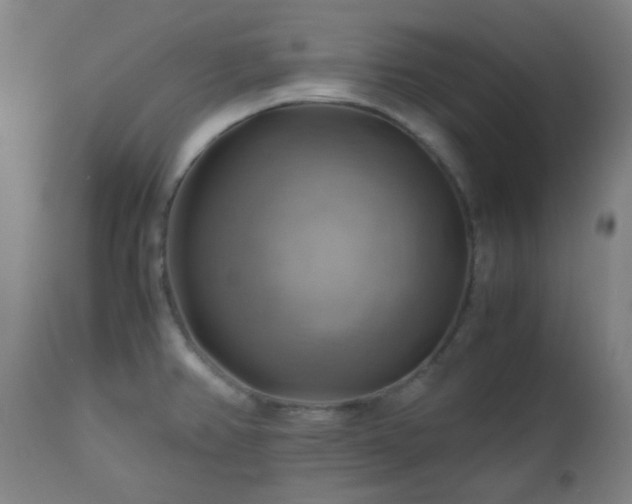 X0000111031382200906251255