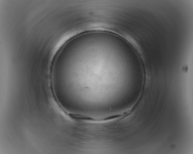 X0000111031384200906251255