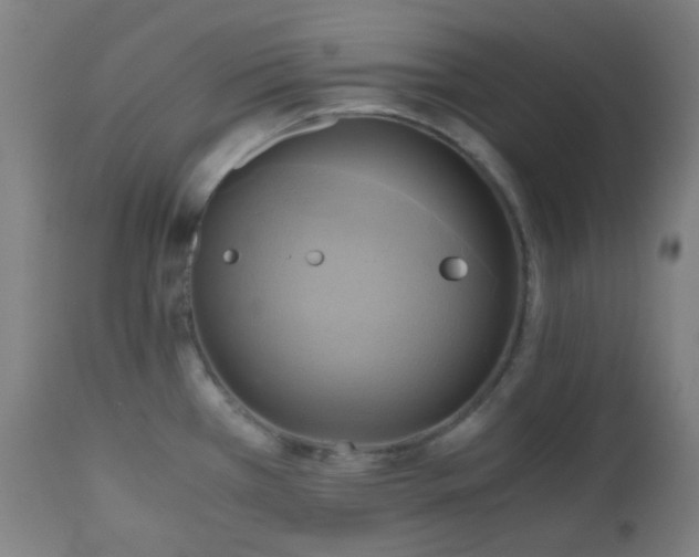 X0000111031385200906251255
