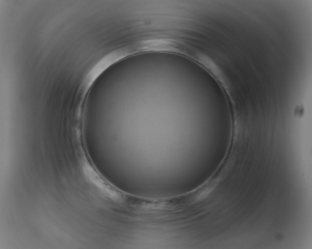 X0000111031386200906251255