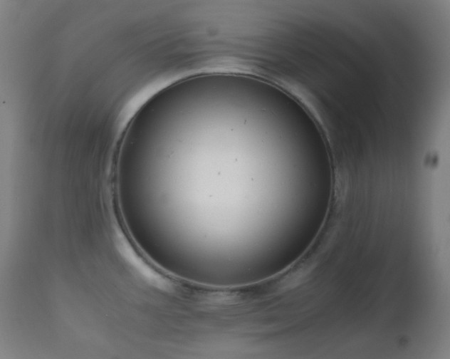 X0000111031387200906251255