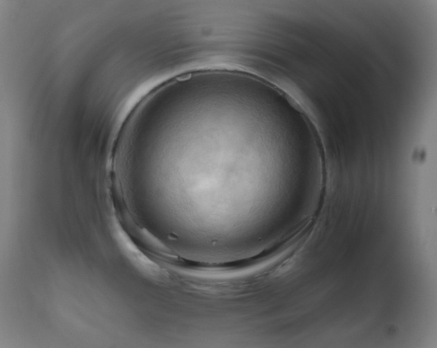X0000111031388200906251255