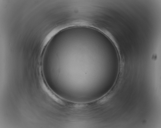 X0000111031389200906251255