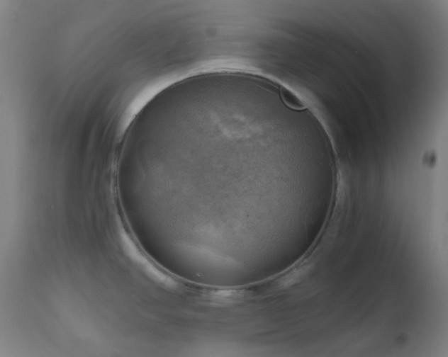 X0000111031390200906251255
