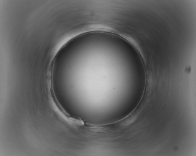 X0000111031391200906251255