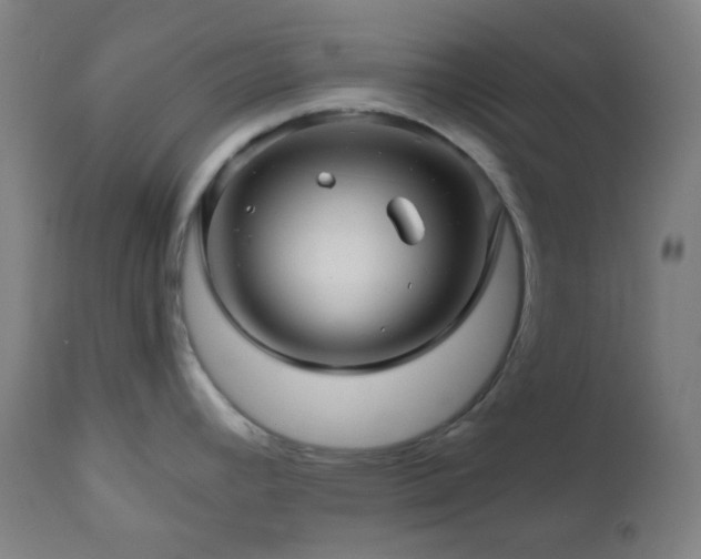 X0000111031392200906251255