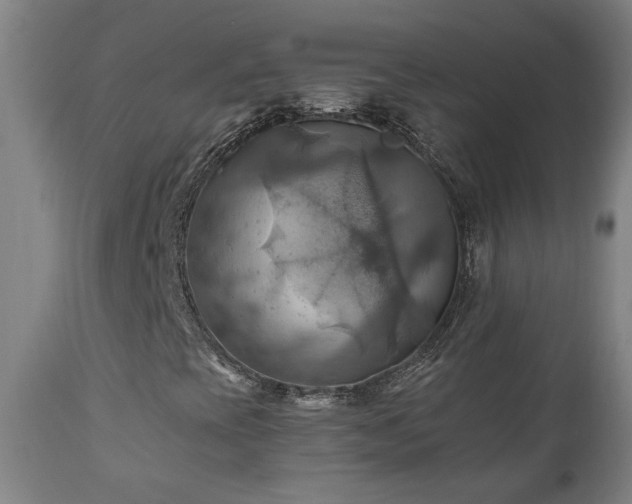 X0000111031393200906251254