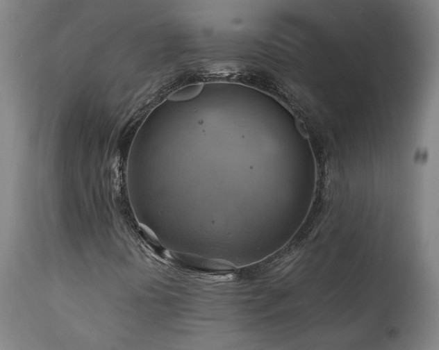 X0000111031394200906251254