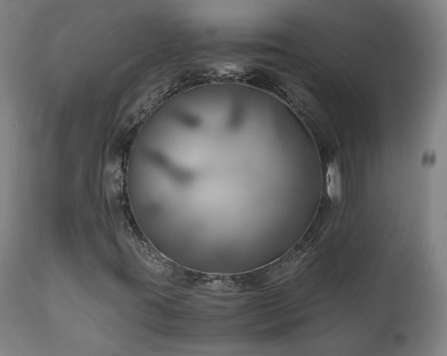 X0000111031395200906251254