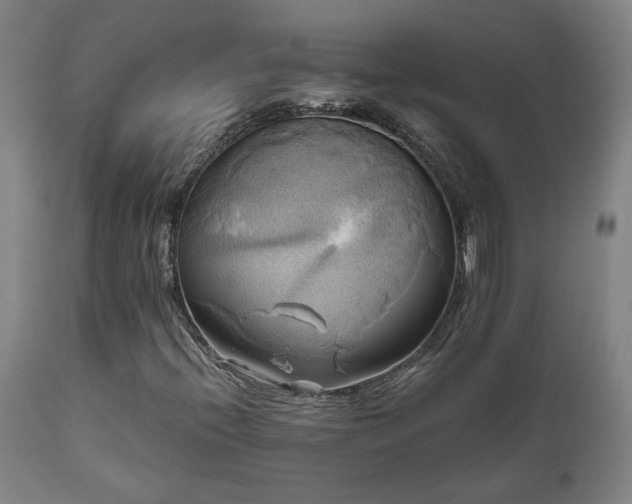 X0000111031396200906251254
