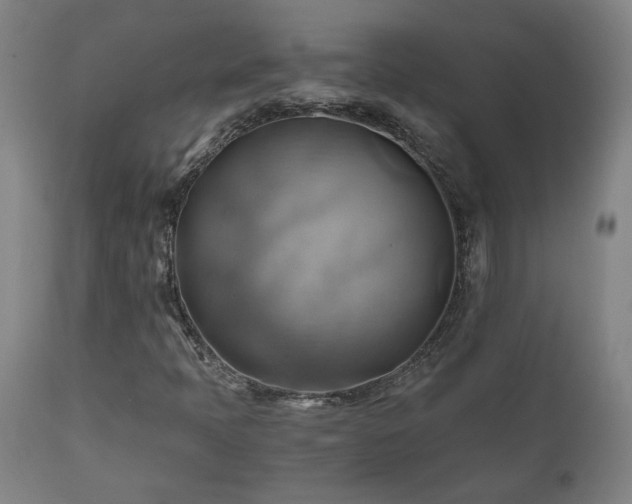 X0000111031397200906251254