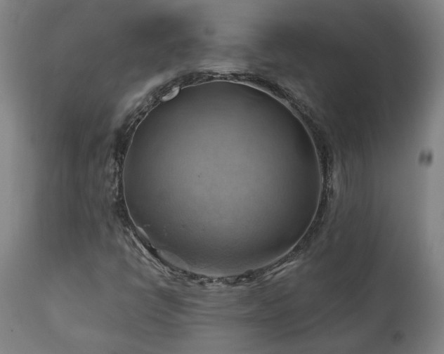 X0000111031398200906251254