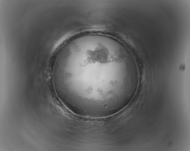 X0000111031400200906251254