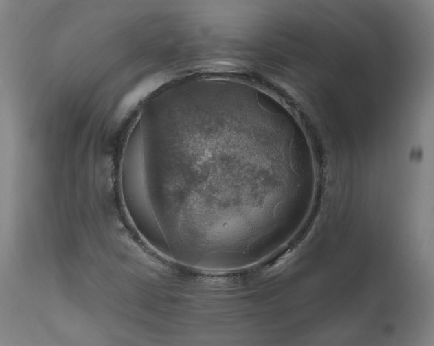 X0000111031402200906251254