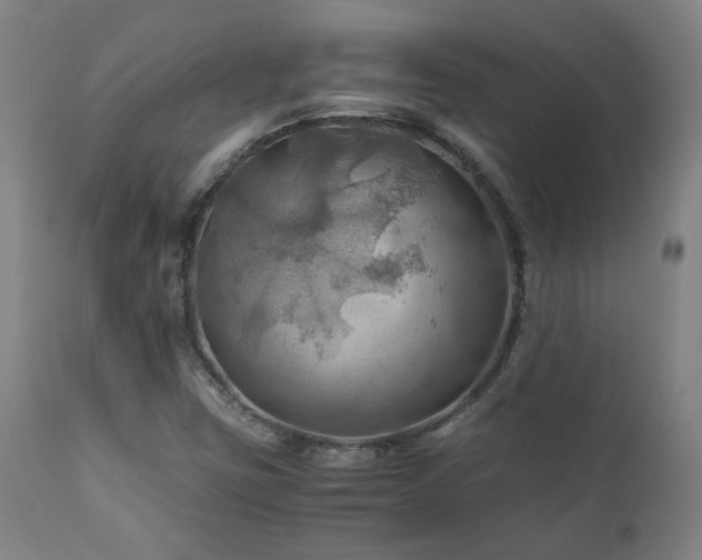 X0000111031403200906251254