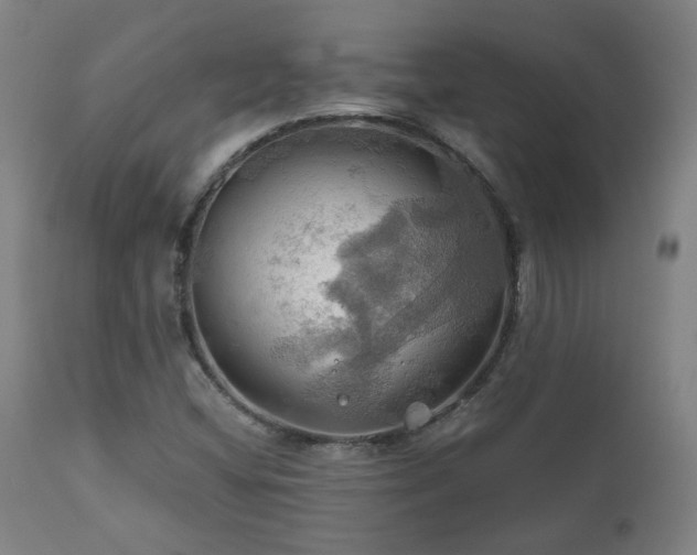 X0000111031404200906251254
