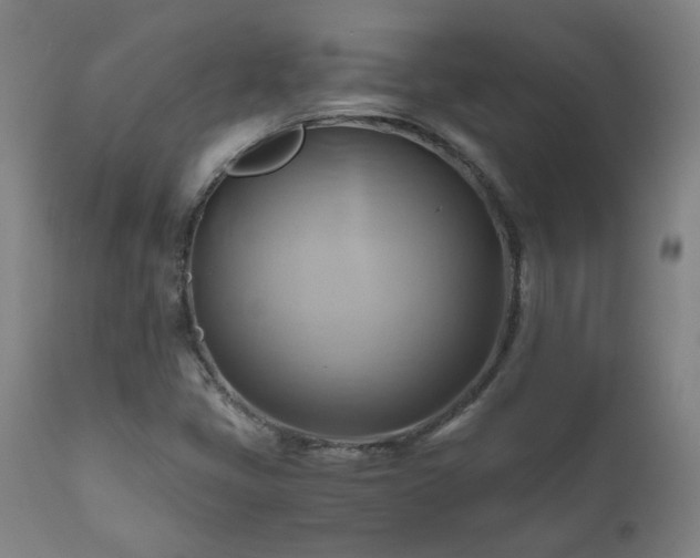 X0000111031405200906251254