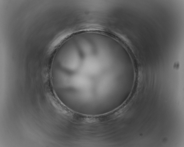 X0000111031407200906251254