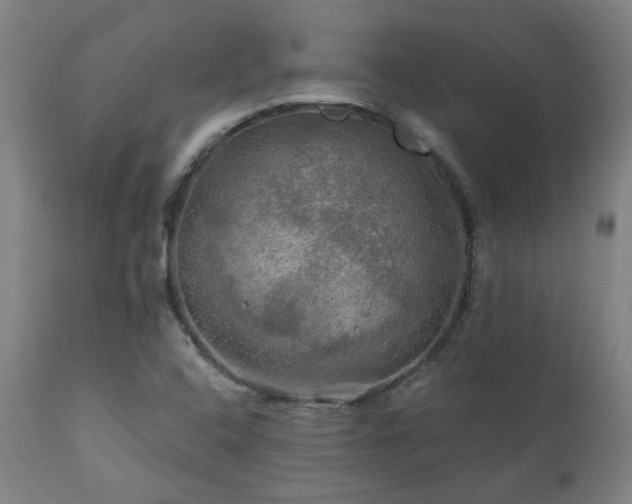 X0000111031408200906251254