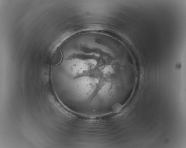 X0000111031409200906251254