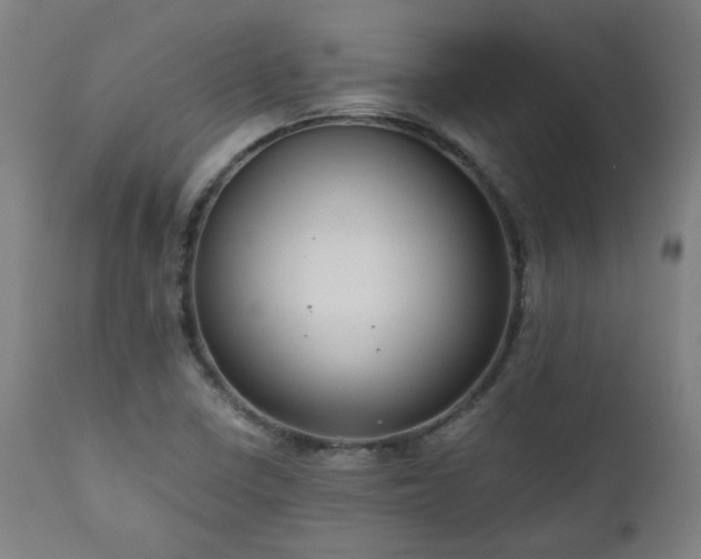X0000111031410200906251254