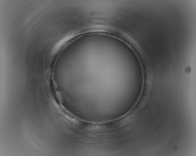 X0000111031411200906251254