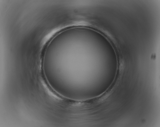 X0000111031414200906251254