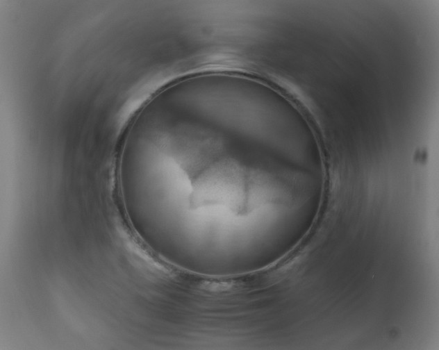 X0000111031415200906251254