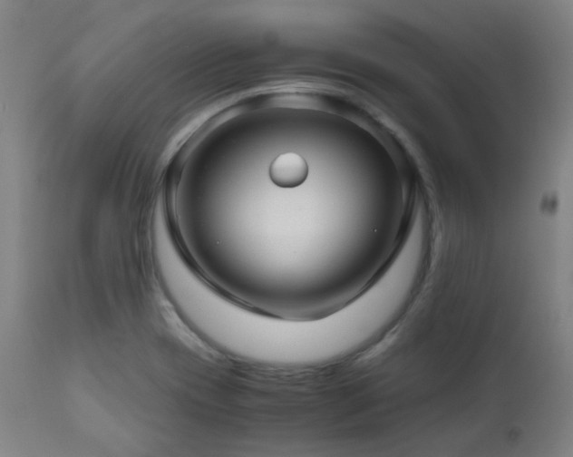 X0000111031417200906251254