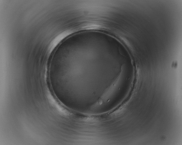 X0000111031418200906251254