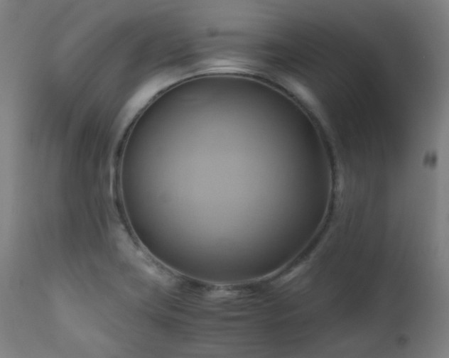 X0000111031419200906251254