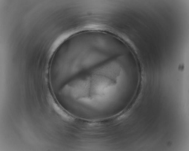 X0000111031421200906251254