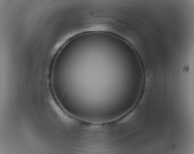 X0000111031422200906251254