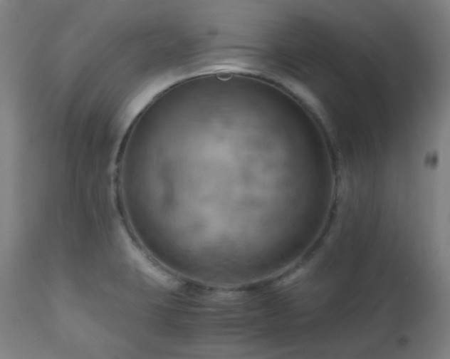 X0000111031423200906251254