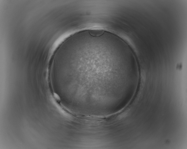 X0000111031424200906251254