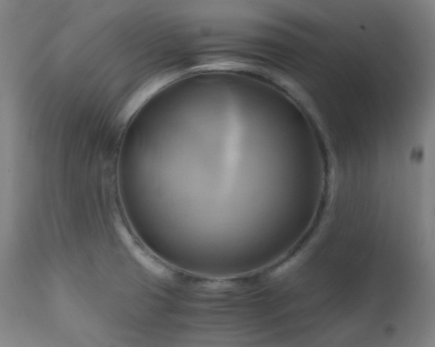 X0000111031425200906251254