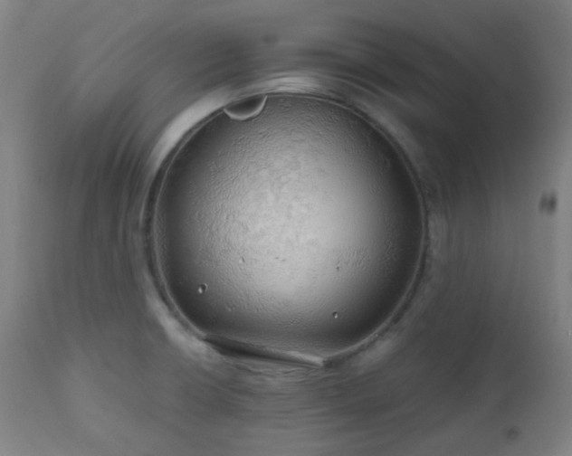 X0000111031426200906251254