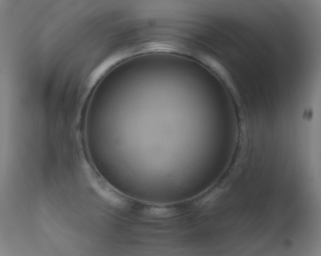 X0000111031427200906251254