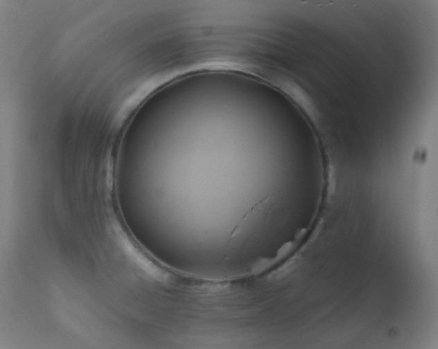 X0000111031428200906251254